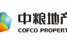 中粮房地产南昌分公司招聘最新信息,诚邀精英共筑美好未来
