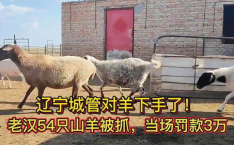 三只羊被罚30亿,直播带货行业迎来规范化新篇章