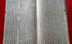一座城一条街一树海棠引客来-108式春床图片浏览 ，韩国顶级网红名媛34D傲人肉体圆满腰臀！