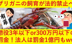 日本立法禁止出售小龙虾,外来物种小龙虾禁售背后的生态危机与法律变革