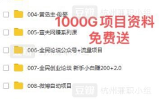 免费赚钱项目,揭秘免费赚钱项目的多样选择