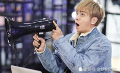 娱乐吃瓜罗志祥,娱乐圈巨星的陨落与吃瓜群众的狂欢
