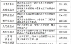 惠州市财政局会计信息网,助力会计行业现代化与高效管理