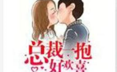 总裁一抱好欢喜 安姿莜 小说,安姿莜的浪漫爱情之旅