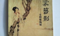 宋明一一小说,历史画卷中的传奇人生