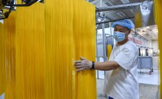 中国国产AV（中国）IOS安卓版手机APP官网下载V81及坏蛋是如何炼成的II免费阅读全文 ，最美“昔阳”红 文旅工业帮力县域经济“破壁出圈”