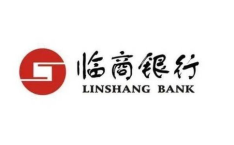 临商银行,助力地方经济发展，打造金融创新典范