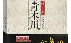 青木川 小说,历史变迁中的传奇古镇与人性探索