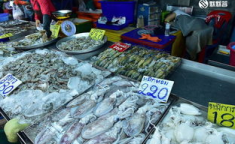 平海码头海鲜市场在哪里啊,平海码头海鲜市场位置指南
