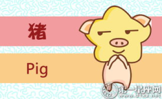 07年属猪2023年运势如何详解,挑战与机遇并存，学业与财运分析