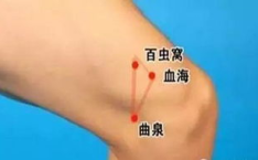 血热的治疗方法,中医食疗与药物治疗的综合策略