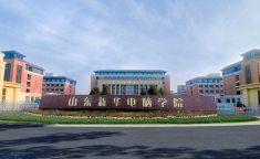 山东新华,精细化工领域的崛起与创新