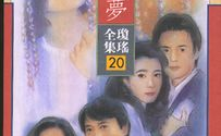 一帘幽梦小说,一帘幽梦中的爱恨纠葛