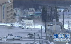 日本地震,历史回顾与未来防范策略