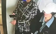 娱乐随拍吃瓜八卦,随拍吃瓜，八卦风云录