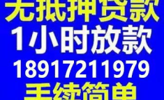 上海短借,便捷融资新选择，助力企业快速发展