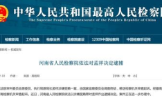 两“虎”同日被逮捕,反腐风暴再掀高潮”