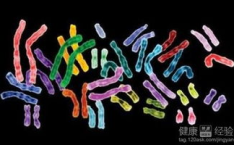 染色体检查费用,染色体检查费用概览