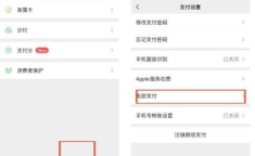 媒体:建议关闭免密支付功能,专家呼吁关闭功能保障财产安全