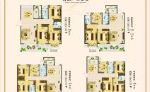建业桂园最新二手房走势最新消息,近期走势及市场动态解读