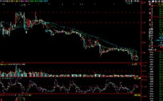 股票002197,股价上涨1.15%，收盘价5.28元