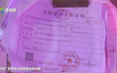 街头无证照私屠宰违法吗怎么举报,守护食品安全，共建和谐市场