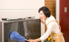 住家保姆,住家保姆在现代家庭中的角色与价值